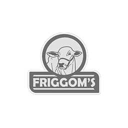 LOGO_FRIGGOMS